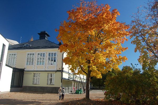 Puistokoulu.jpg